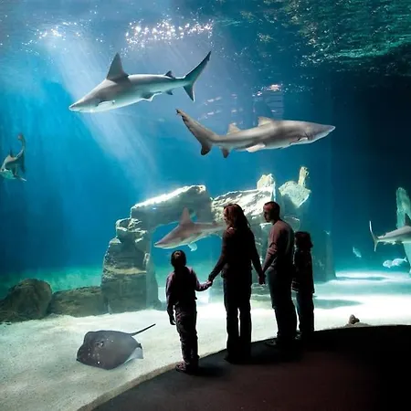 Apartment Comodo Al Mare E Stazione *